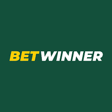 BetWinner Online Casino Experience the Thrill of Winning