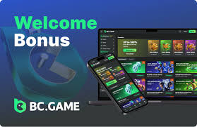 Comprehensive BC App Reviews Insights and User Experiences 638362051